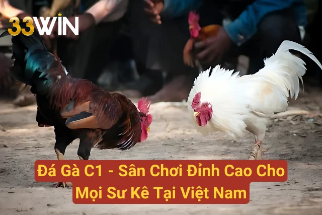 Đá Gà C1