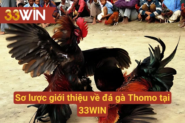 Giới thiệu sơ về đá gà